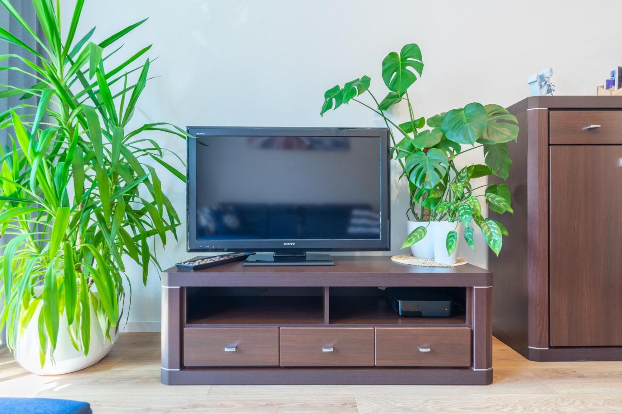 Apartament Anchor Przymorze Gdańsk Zewnętrze zdjęcie